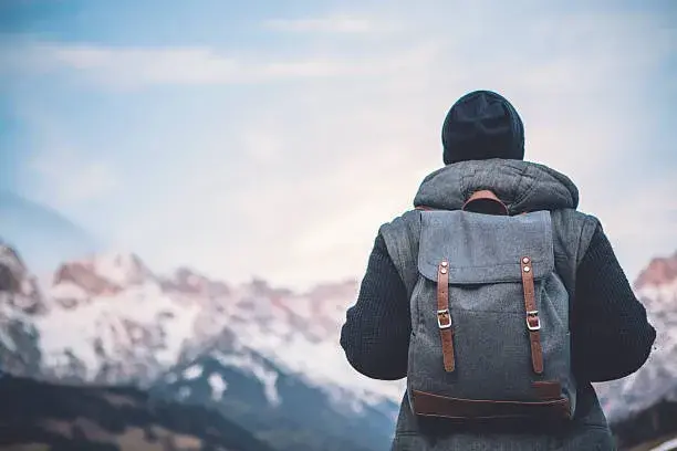  Canvas Laptop and Travel Backpack